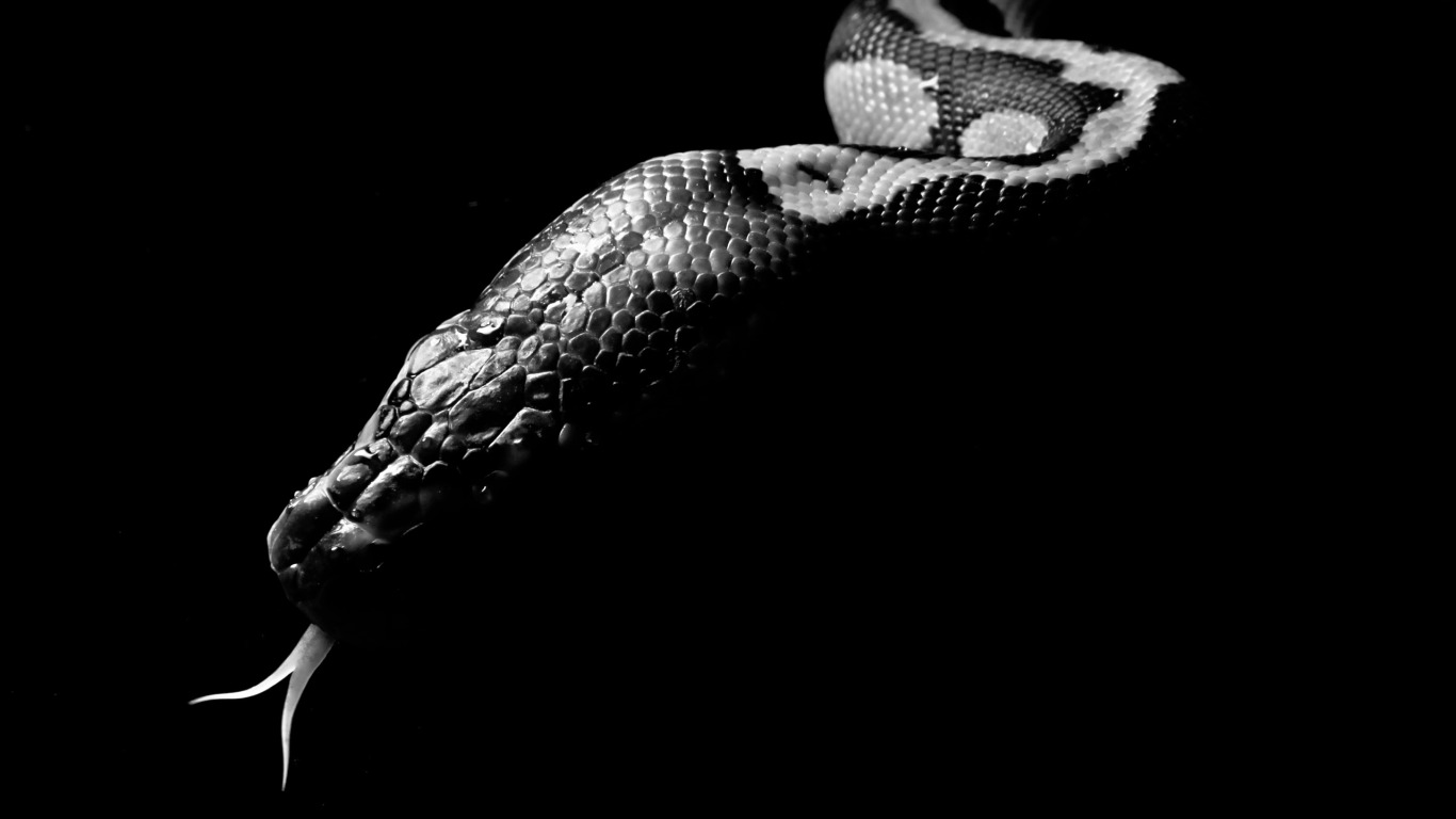 Обличение и опровержение лжеименного знания. Книга первая