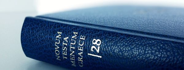 Nestle-Aland 28: Введение и критический аппарат