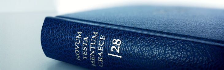 Nestle-Aland 28: Введение и критический аппарат